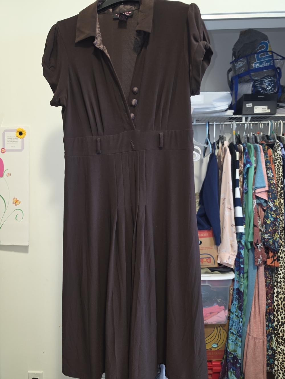 Robbie Bee Dark Brown Collared Midi Dress with Button Front